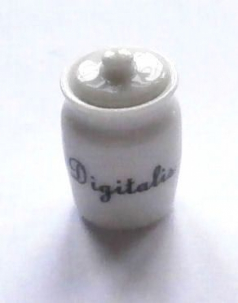 Ceramic Digitalis Display Jar