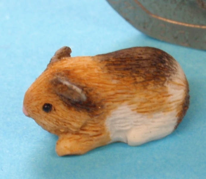 | Pets & Animals