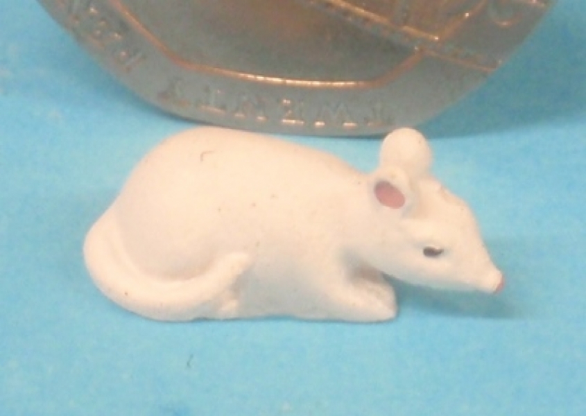 Rat - White