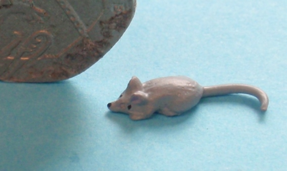 Grey Mouse