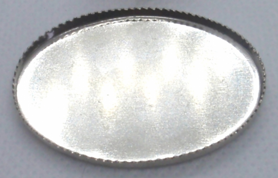 Oval Silver  Serving Tray - Large