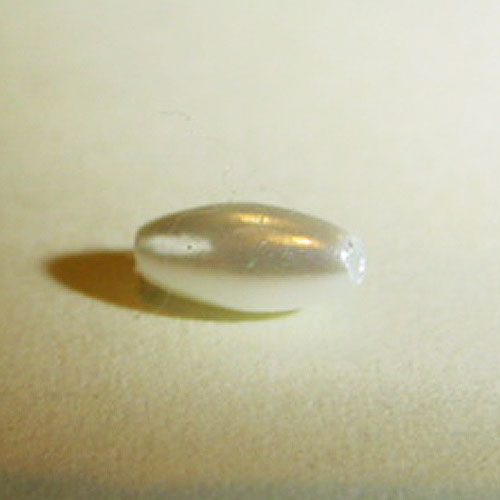 Oval Pearl Bead