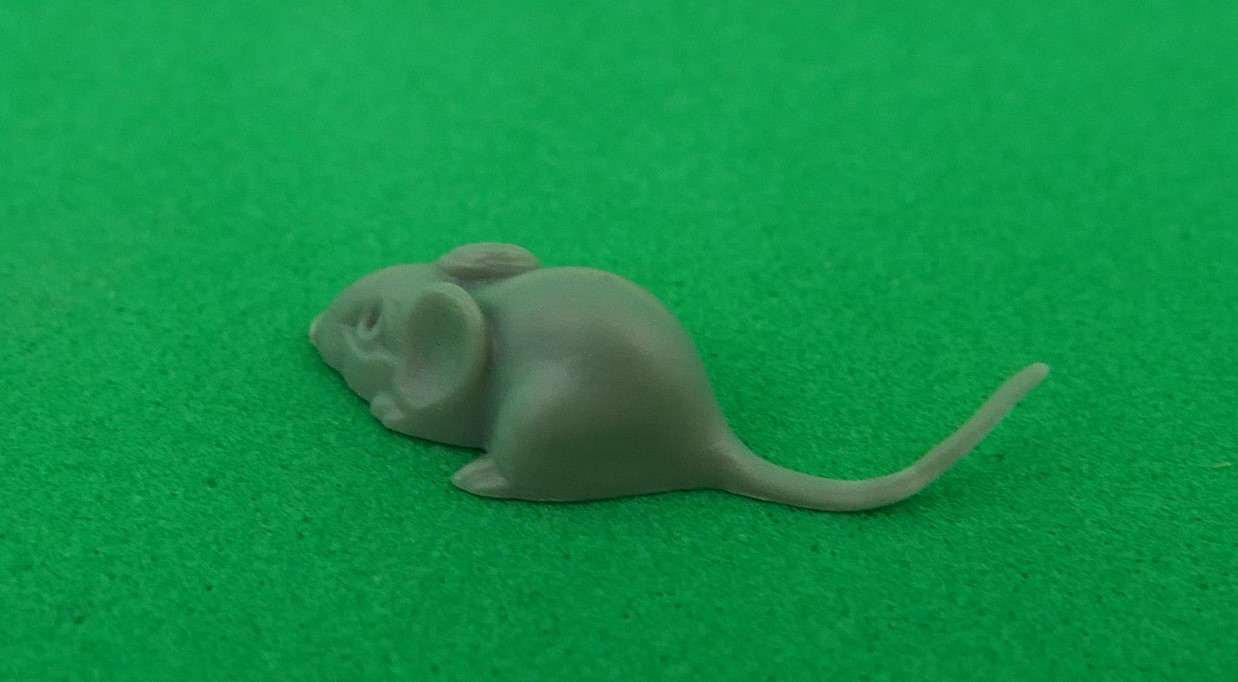 Grey Mouse