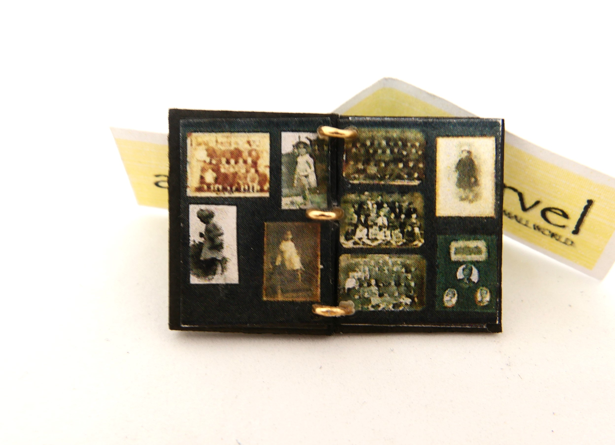 Photo Album in open ring binder album