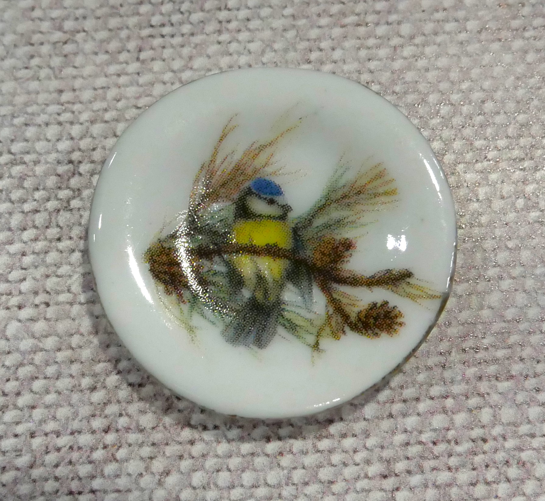 Blue Tit decorative plate