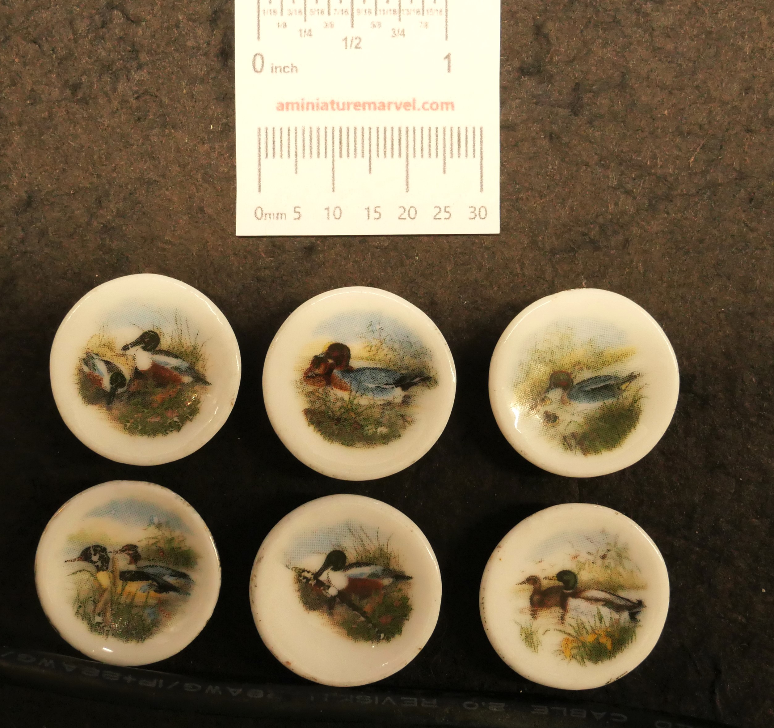 waterfowl decorative plates - set of 6