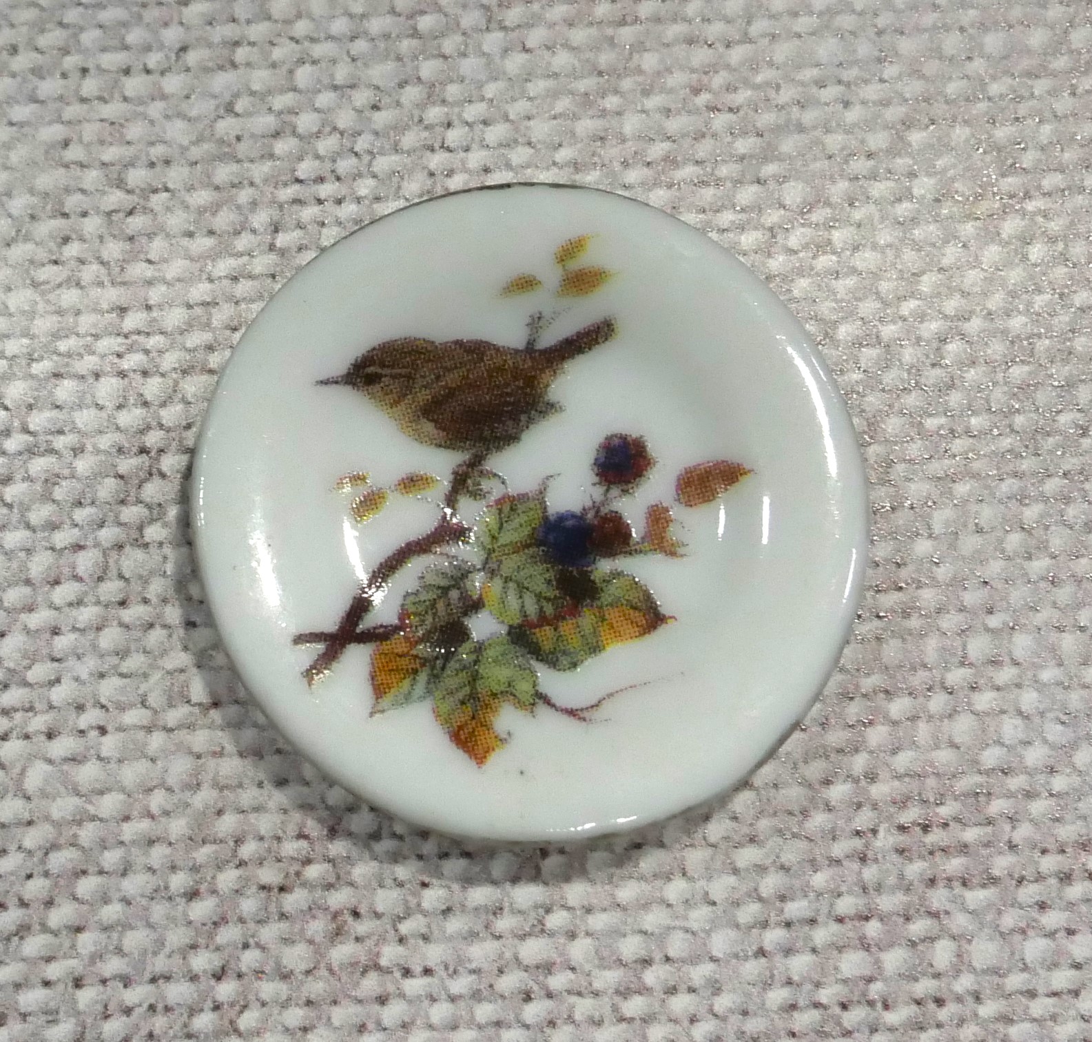 Wren decorative plate